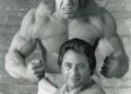 HULK El Hombre Increíble “La Serie”