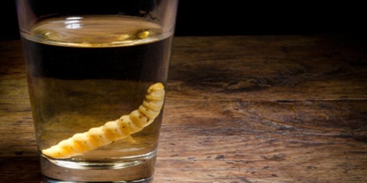 EL MEZCAL Y SU GUSANO