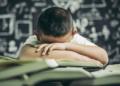 México tiene un retroceso de 20 años en educación pública: expertos